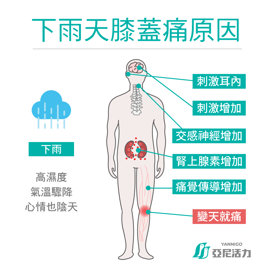 下雨天膝蓋痛原因