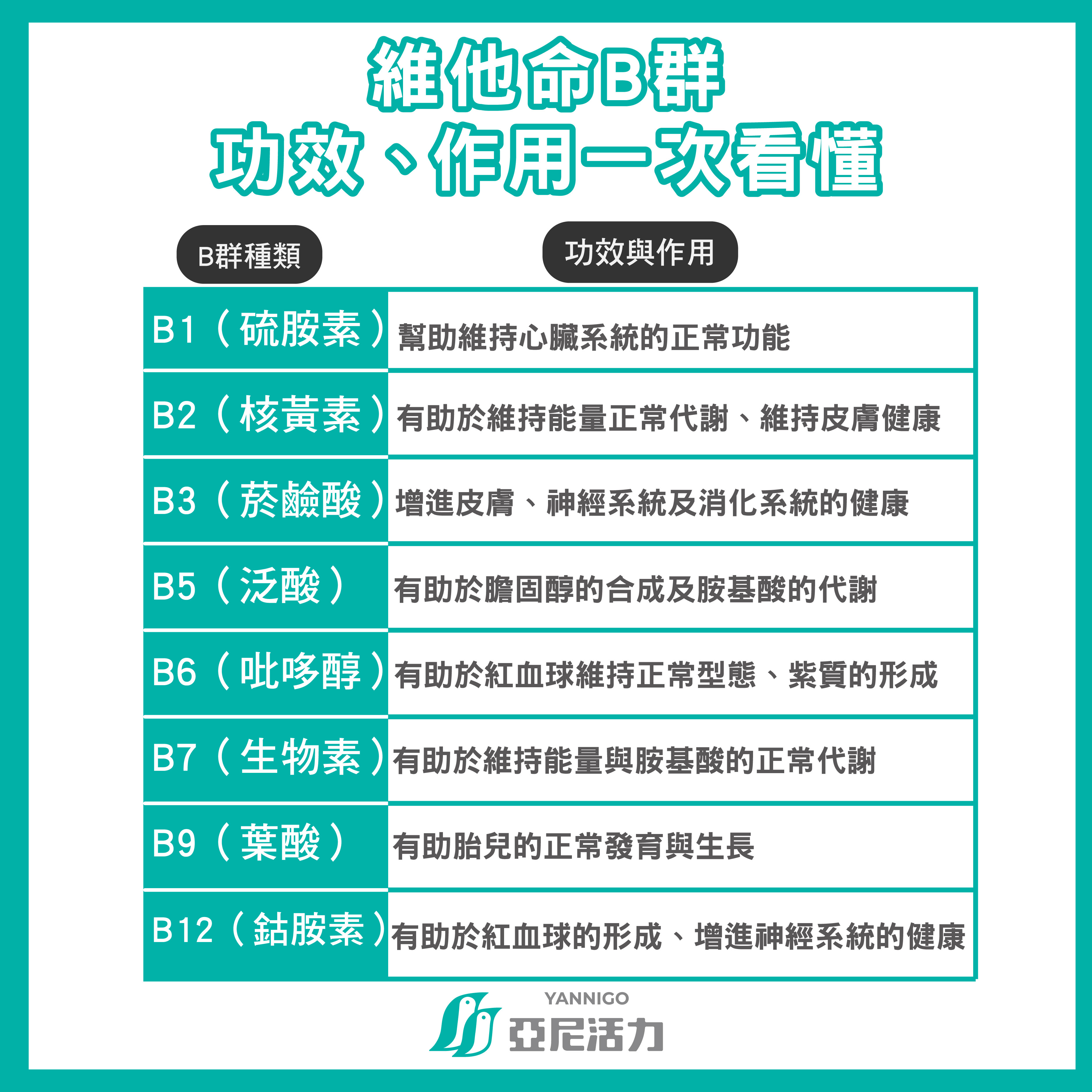 維他命B群功效、作用一次看懂