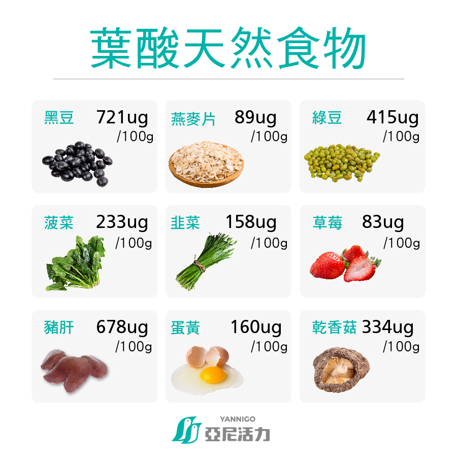 葉酸天然食物 葉酸天然食物