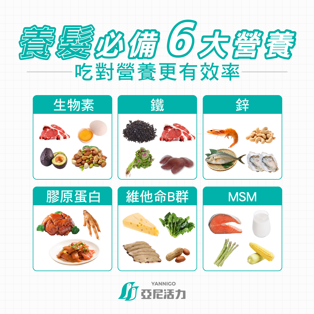 頭髮保健必吃6大營養