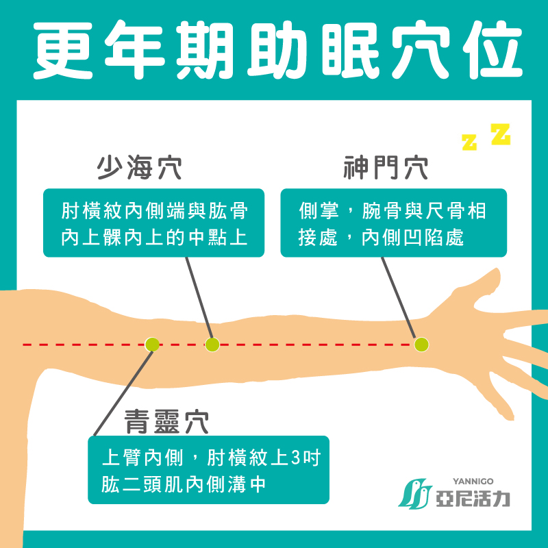 手部 3 大助眠穴道