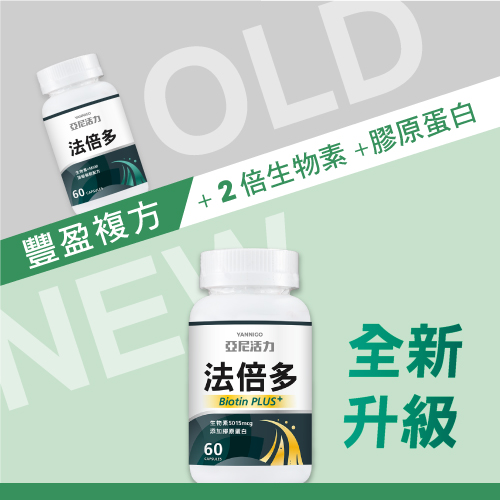 亞尼活力法倍多升級