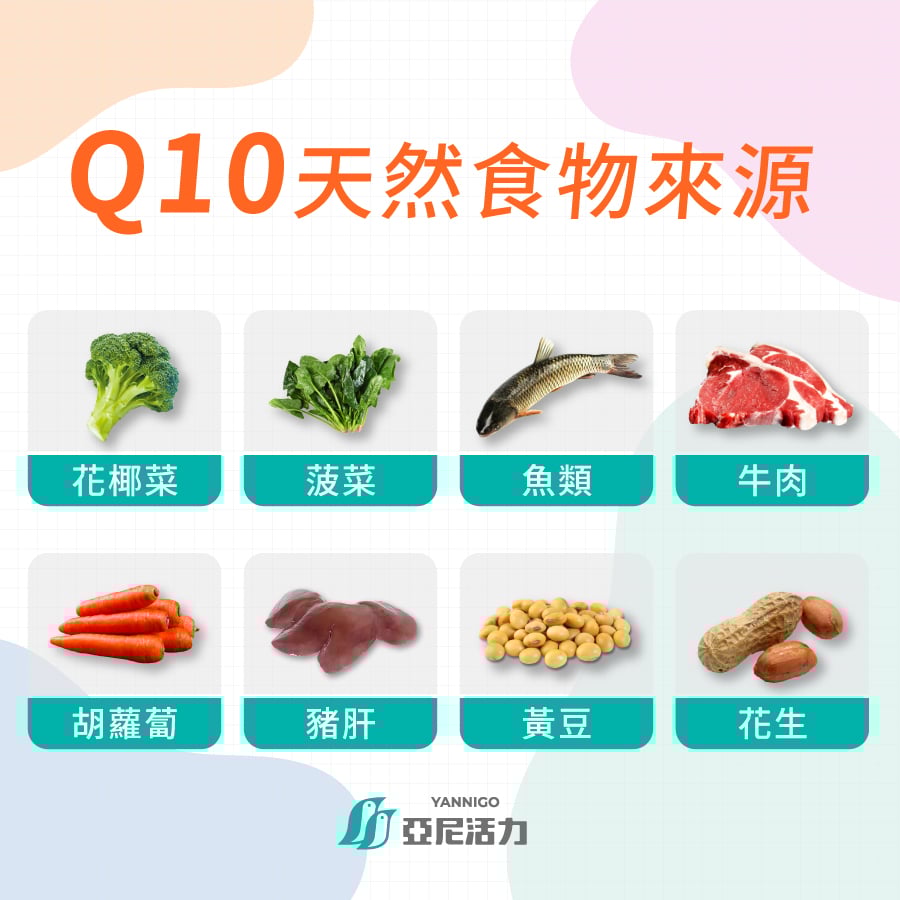 男性備孕營養推薦：Q10