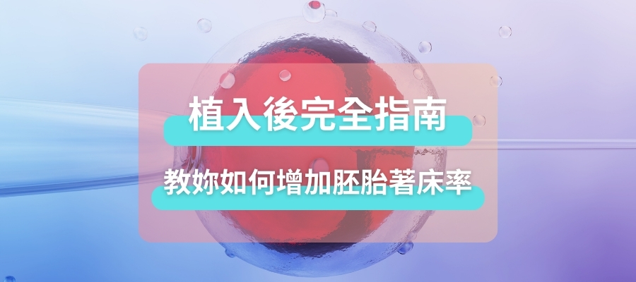 試管/人工植入後完全指南：注意事項、教妳增加胚胎著床率！
