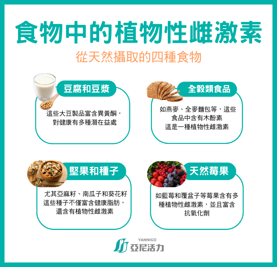 植物性雌激素食物