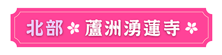 蘆洲湧蓮寺